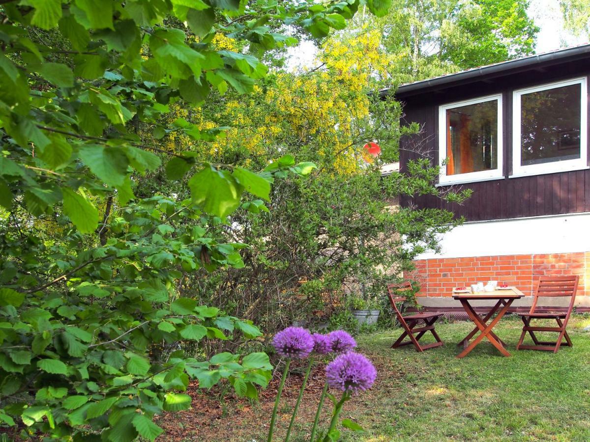Ferienwohnung Am Duemmer See Dummer Eksteriør billede
